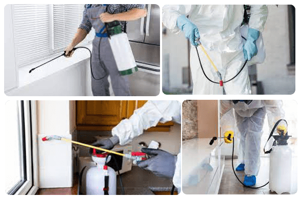 Residential And Commercial Pest Control Service